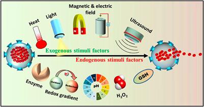 Advances and Perspective on Antimicrobial Nanomaterials for Biomedical Applications